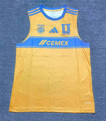 (S-3XL) 25-26 Tigres UANL Home Yellow Thailand Vest-sleeve Soccer Jersey AAA-912