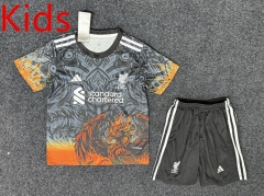 25-26 Special Edition Liverpool Black&Gray Kids/Youth Soccer Uniform-GB