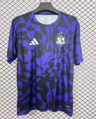 2025-2026 Colo-Colo Black&Purple Thailand Training Soccer Jersey AAA-2044