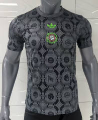 25-26 Beer version Bayern München Light Gray Thailand Soccer Jersey AAA-416