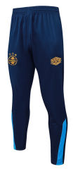 25-26 Grêmio FBPA Cyan Thailand Soccer Tracksuit Long Pants-815