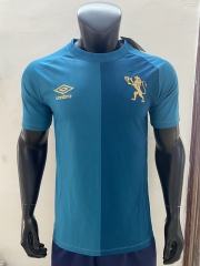 Without Chest Ad 2025-2026 Sport Recife 2nd Away Blue Thailand Soccer Jersey AAA-0594