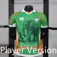Player Version 25-26 Special Version Cote d'Ivoire Green Thailand Soccer Jersey AAA-888