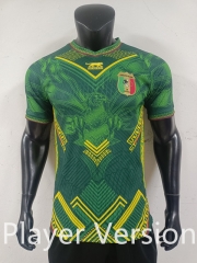Player Version 2026 Mali Green&Yellow Thailand Soccer Jersey AAA-0871