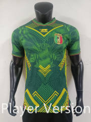 Player Version 2026 Mali Green&Yellow Thailand Soccer Jersey AAA-0871