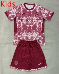 25-26 Norwich City 2nd Away Red Kids/Youth Soccer Uniform-AY