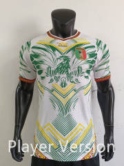 Player Version 2026 Mali White&Green Thailand Soccer Jersey AAA-0871