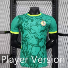 Player Version 26-27 Two Stars Version Senegal Green Thailand Soccer Jersey AAA-888