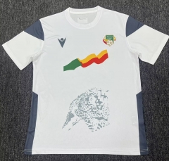 2026 World Cup Benin Home White Thailand Soccer Jersey AAA-5493