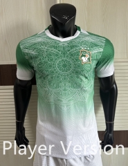 Player Version 26-27 Special Version Cote d'Ivoire Green Thailand Soccer Jersey AAA-9812
