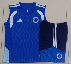 26-27 Cruzeiro EC Color Blue Thailand Soccer Vest Tracksuit-815