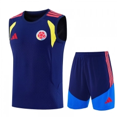 26-27 Colombia Royal Blue Thailand Soccer Vest Uniform-4627