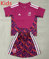 26-27 Mexico Goalkeeper Pink Kids/Youth Soccer Uniform-AY