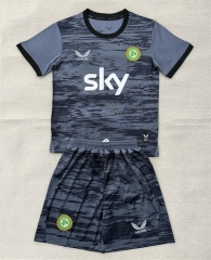 26-27 Ireland Goldkeeper Grey Soccer Uniform-AY