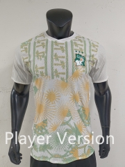 Player Version 26-27 Cote d'Ivoire Away White Thailand Soccer Jersey AAA-0871