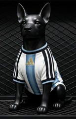 26-27 Argentina Home Blue&White Pet Soccer Jersey AAA-3596