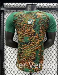 Player Version 26-27 Cote d'Ivoire Green&Orange Thailand Soccer Jersey AAA-3596