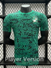 Player Version 26-27 Cote d'Ivoire Green Thailand Soccer Jersey AAA-3596