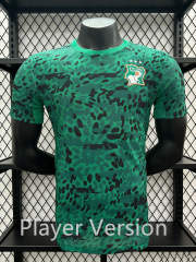 Player Version 26-27 Cote d'Ivoire Green Thailand Soccer Jersey AAA-3596