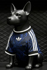 26-27 Argentina Away Royal Blue Pet Soccer Jersey AAA-3596