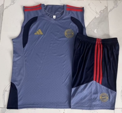 26-27 Bayern München Grey&Blue Thailand Soccer Vest Tracksuit-815