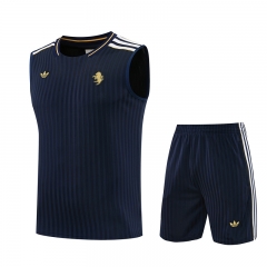 26-27 Juventus Royal Blue Thailand Training Soccer Vest Uniform-418