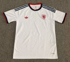 (S-4XL) 27-28 Czech Republic Away White Thailand Soccer Jersey AAA-0377