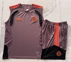 26-27 Bayern München Grey&Purple Thailand Soccer Vest Tracksuit-815