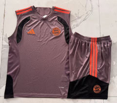 26-27 Bayern München Grey&Purple Thailand Soccer Vest Tracksuit-815