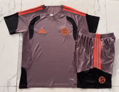 26-27 Bayern München Grey&Purple Short-Sleeve Thailand Soccer Tracksuit-815