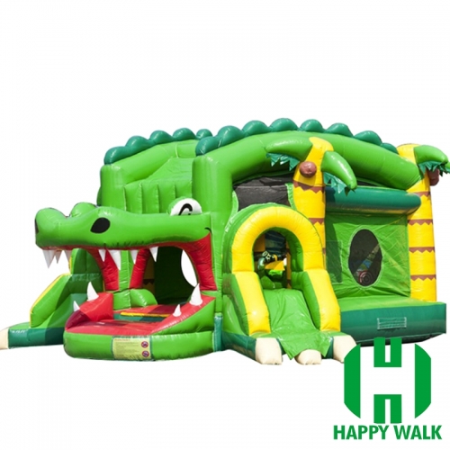 Inflatable Slide Castle Combo