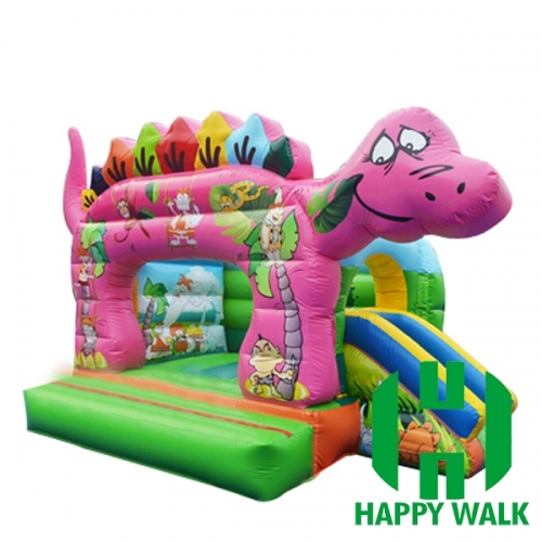 Inflatable Slide Castle Combo