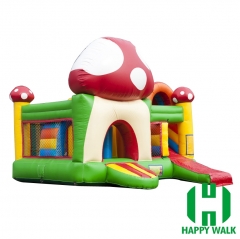 Inflatable Slide Castle Combo