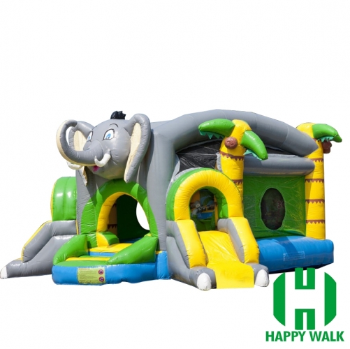 Inflatable Slide Castle Combo