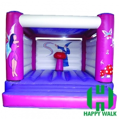 Themed Inflatable Bouncer