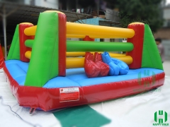Inflatable Boxing