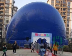 Shark Inflatable Park