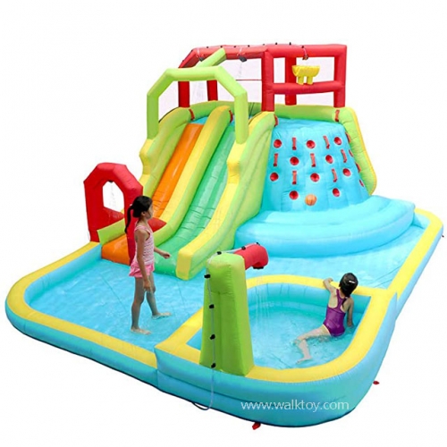 Backyard Inflatable Bouncer Castle Combo