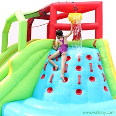 Backyard Inflatable Bouncer Castle Combo