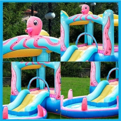 Backyard Inflatable Bouncer Castle Combo