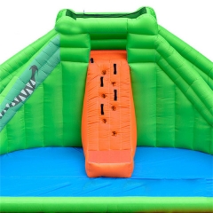 Backyard Inflatable Bouncer Castle Combo