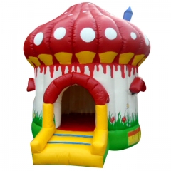 Mushroom Inflatable Castle