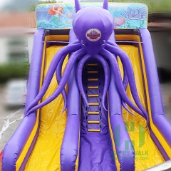 Octopus inflatable slide