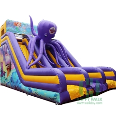 Octopus inflatable slide