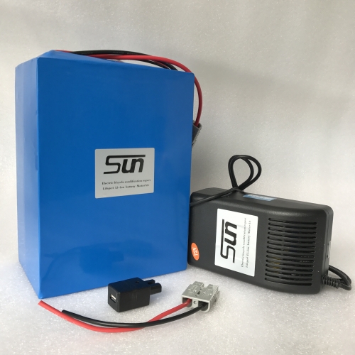 72V24AH Li-ion BATTERY (WITH 5A CHARGER)
