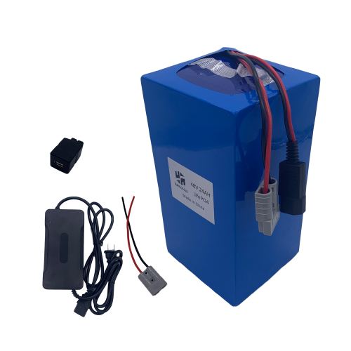 48V24AH(32650) LIFEPO4 BATTERY (WITH 4A CHARGER)