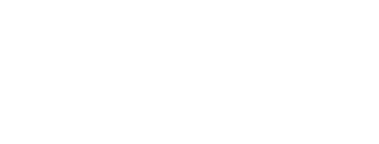 Shenyang University