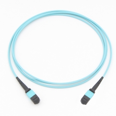 Rollball 12 Fiber MTP(Male)-MTP(Male) 10G OM3 50/125 Multi-mode Fiber Optic Cable