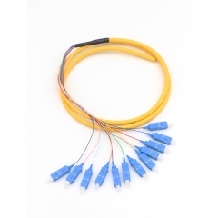 12-fiber SC/UPC OS2 9/125 Single-mode Bunch Fiber Optic Pigtail