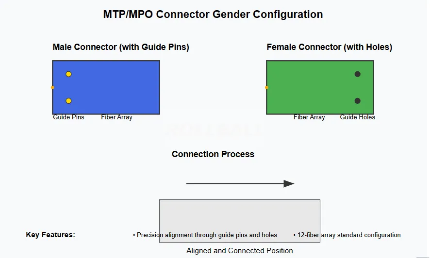 MTP,MPO connector gender configuration